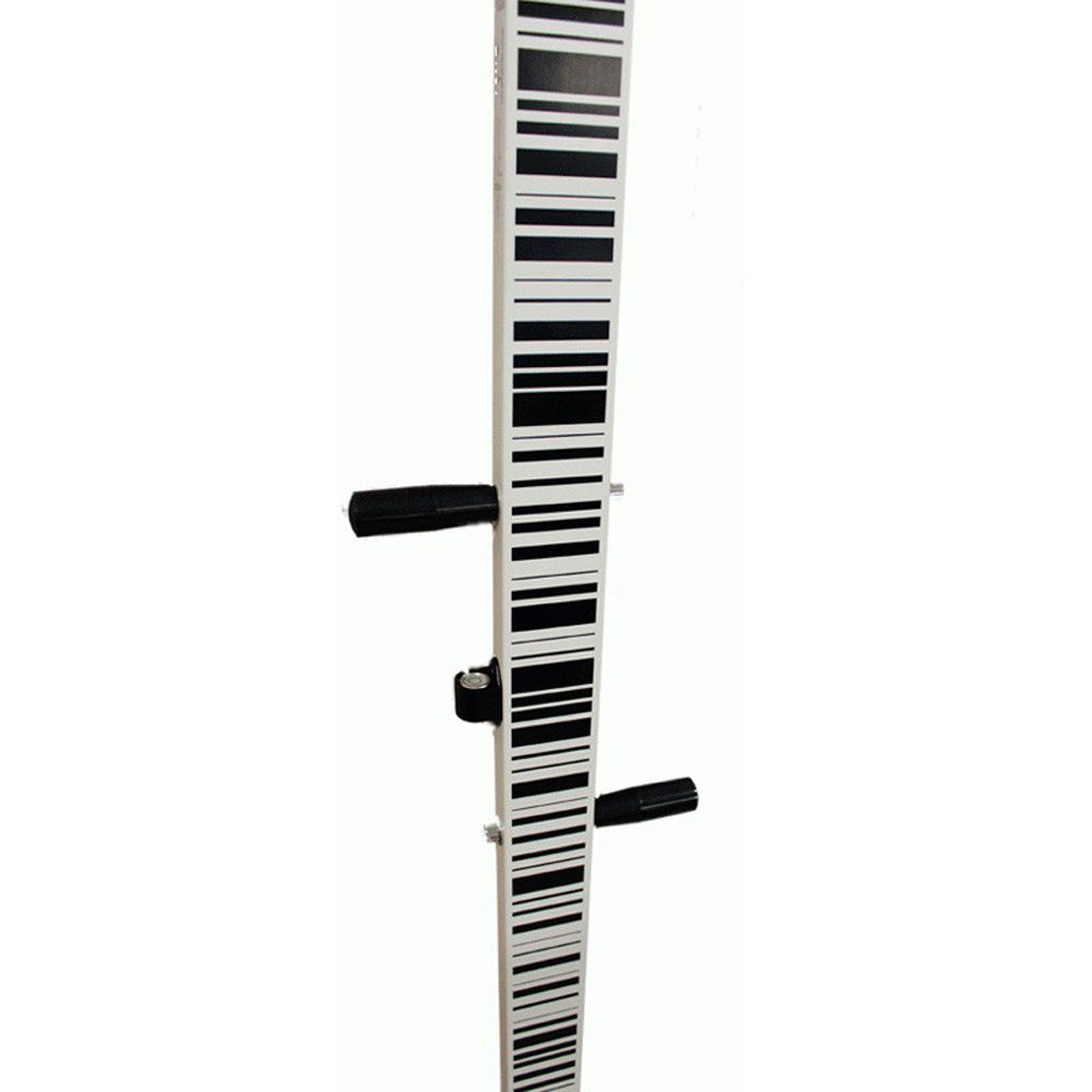 Рейка GeoMax GSS113